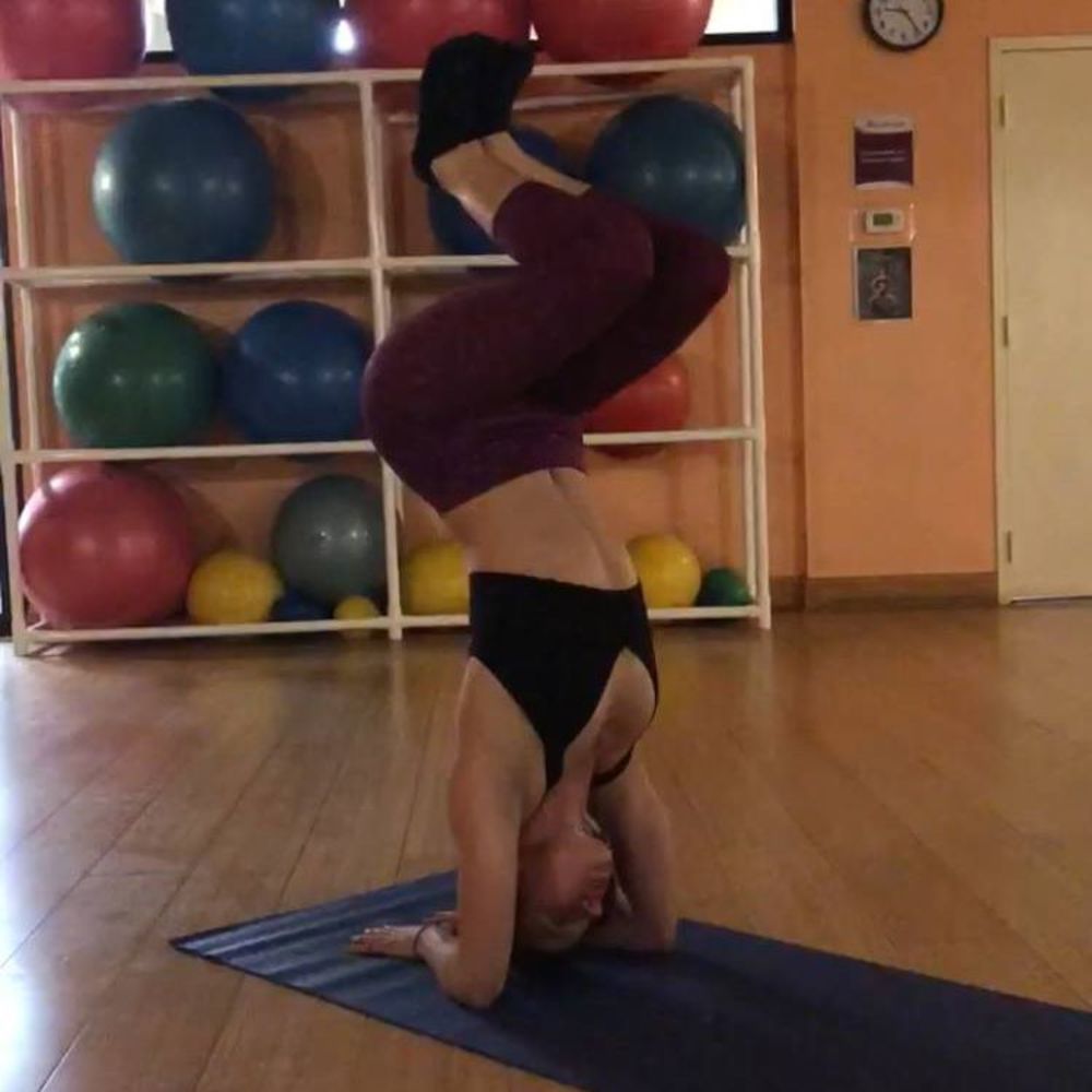 Meet your Posher, Lily